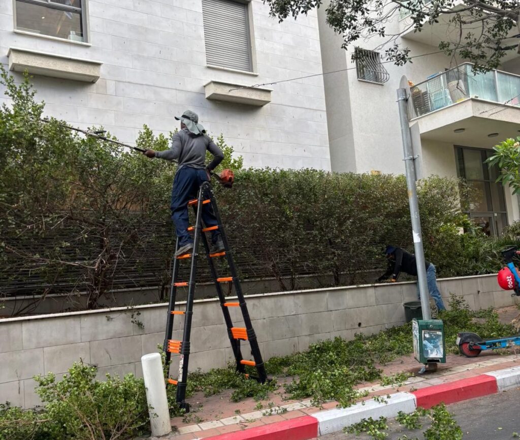 שירותי גינון